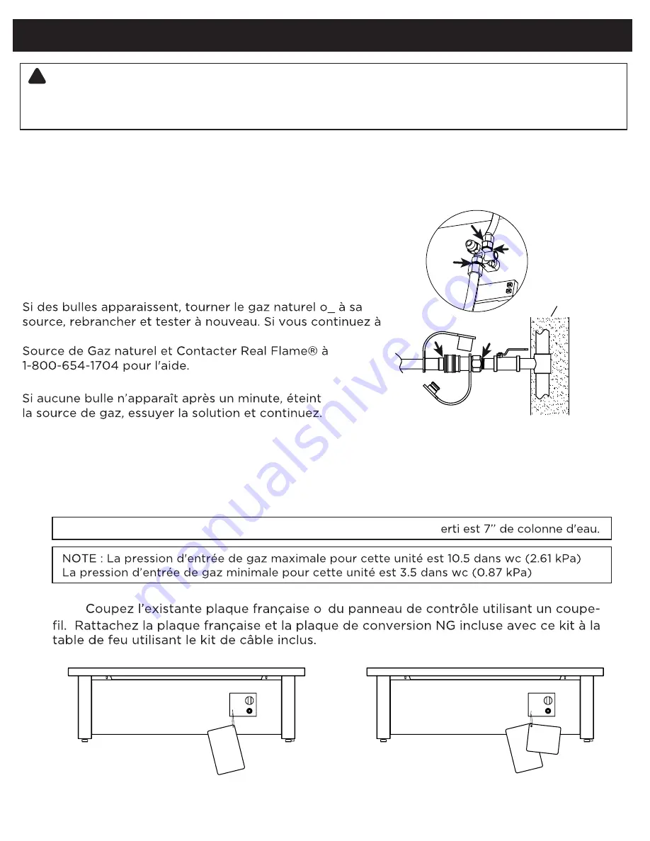 RealFlame C1510LP Manual Download Page 22