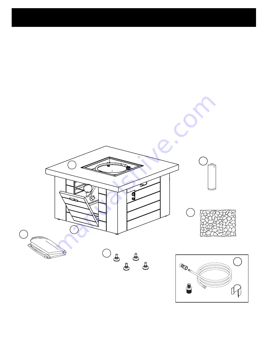 RealFlame C1600LP Owner'S Manual Download Page 6