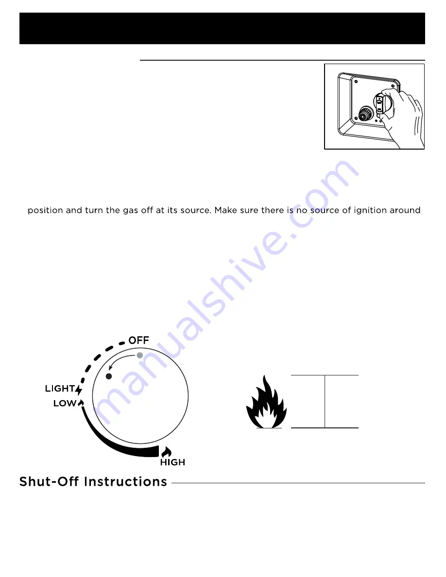 RealFlame C580LP Owner'S Manual Download Page 11