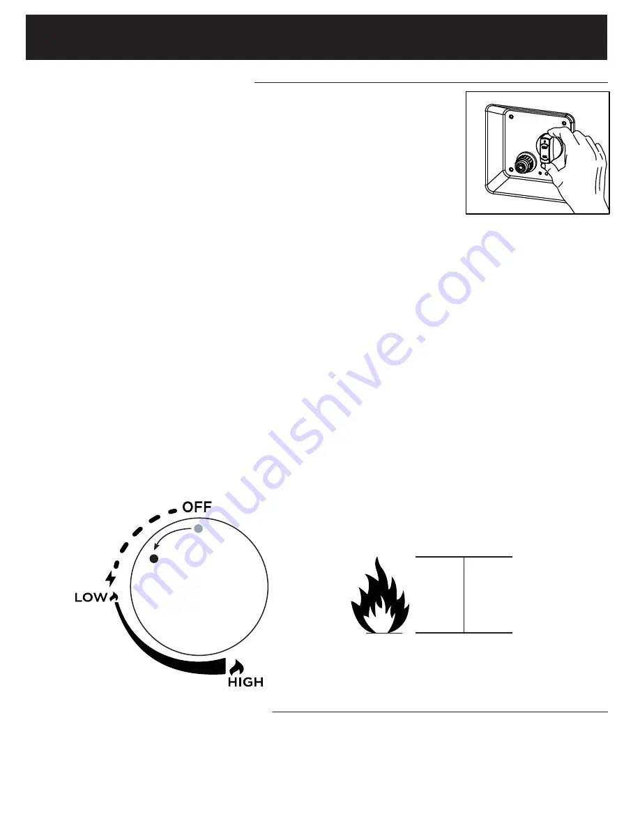 RealFlame C580LP Owner'S Manual Download Page 29