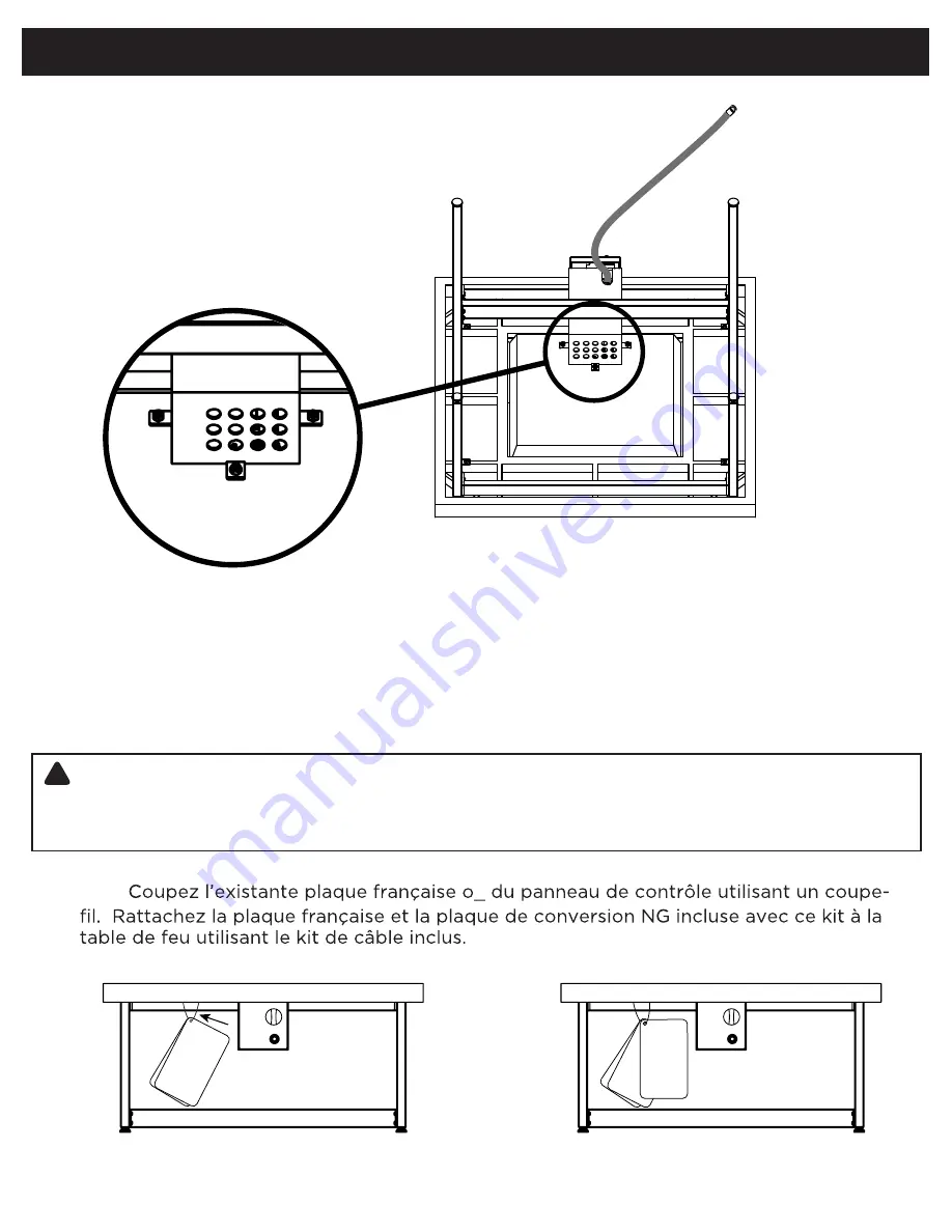 RealFlame C820LP Manual Download Page 22