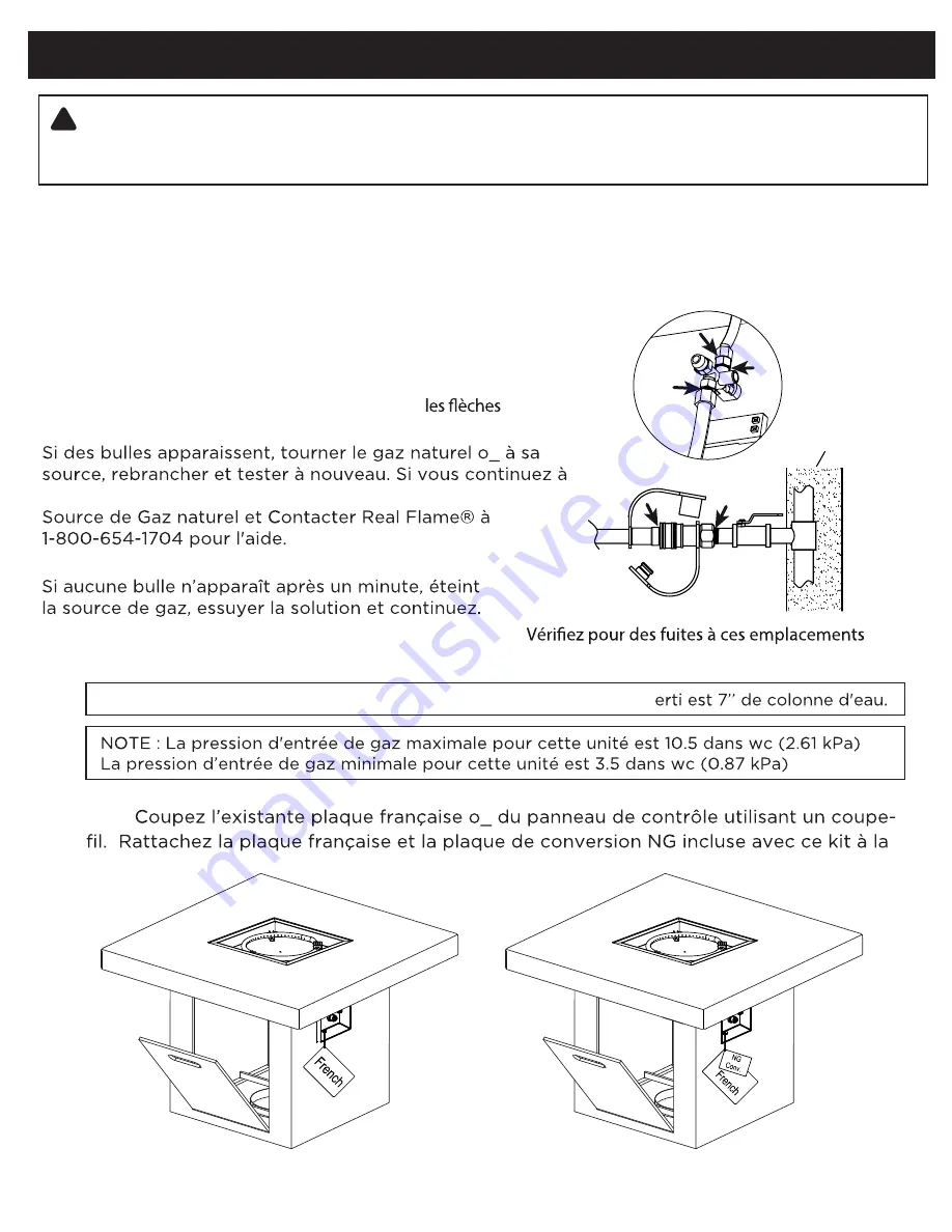 RealFlame C9630LP Manual Download Page 22