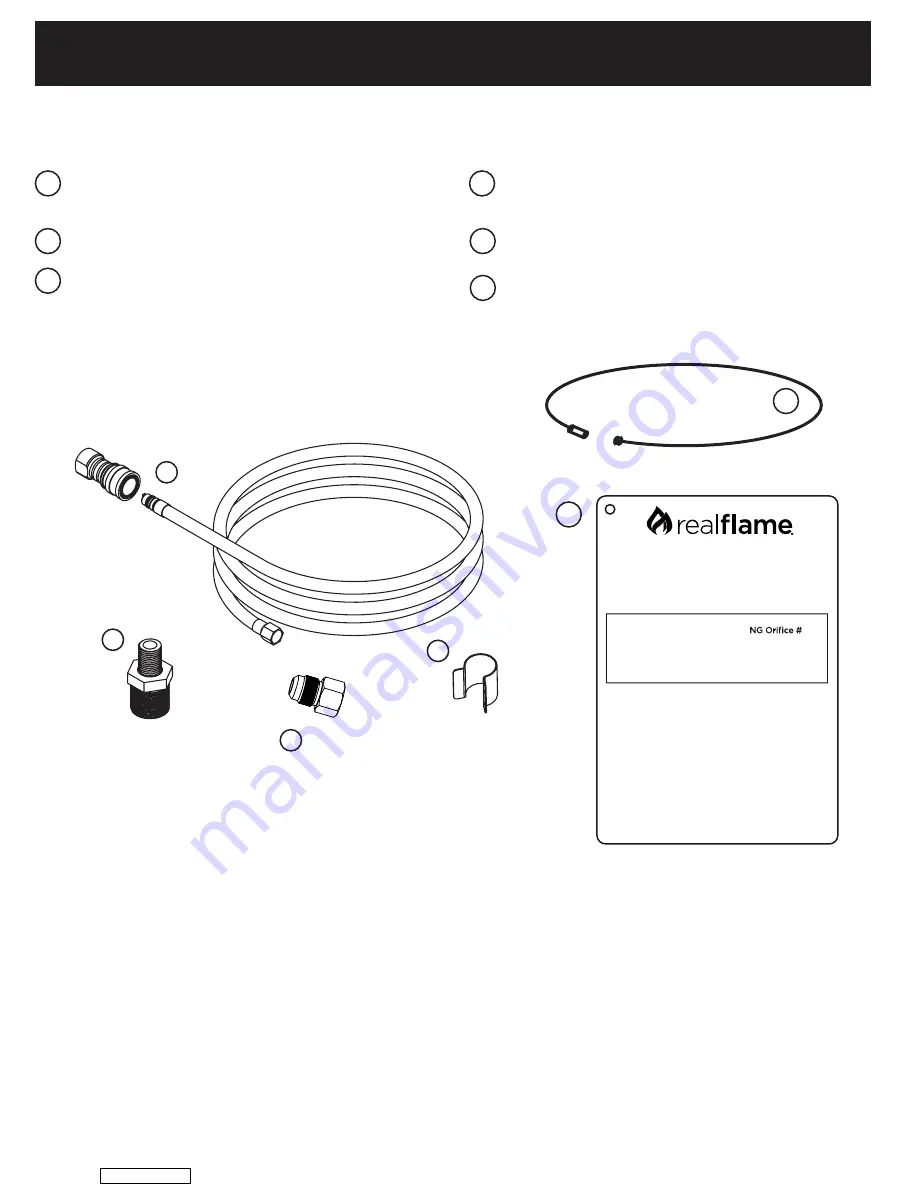 RealFlame G0004-02 Manual Download Page 17