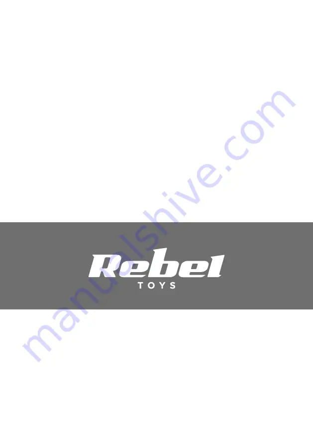 Rebel Toys Skater Pro ZAB0120G User Manual Download Page 28