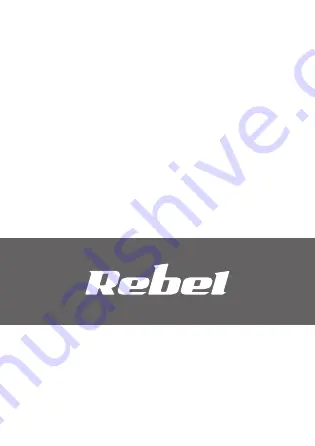 Rebel Toys ZAB0117B Скачать руководство пользователя страница 20