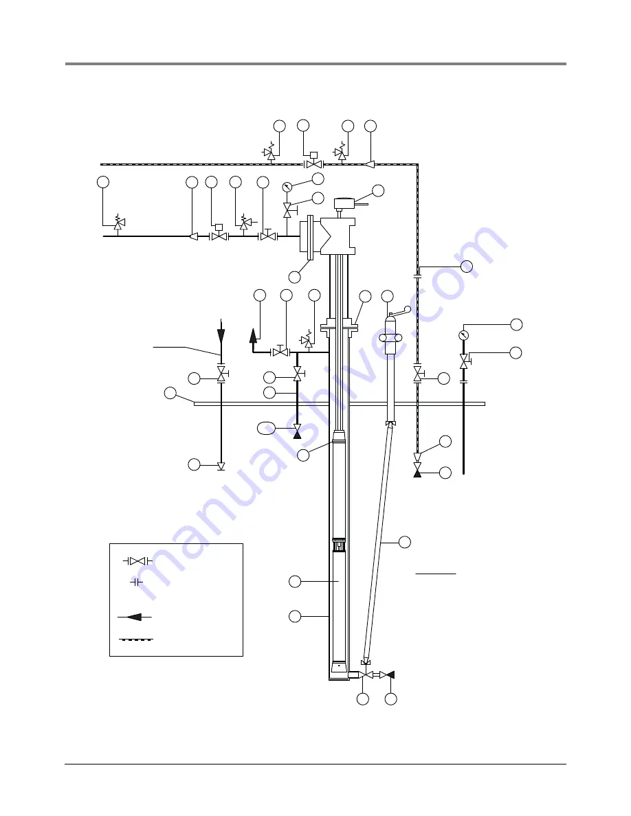 Red Jacket LPG Premier Installation Manual Download Page 13