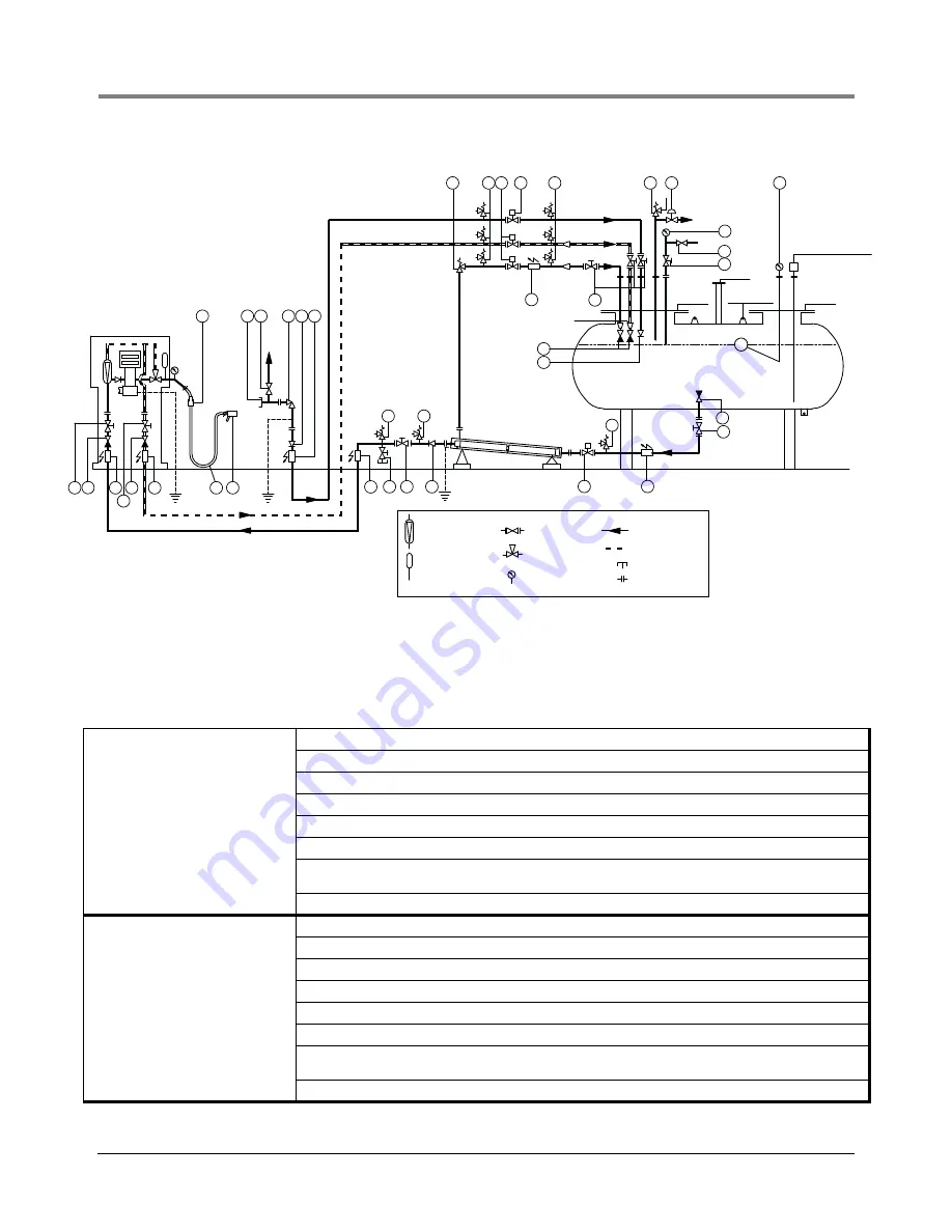 Red Jacket LPG Premier Installation Manual Download Page 30