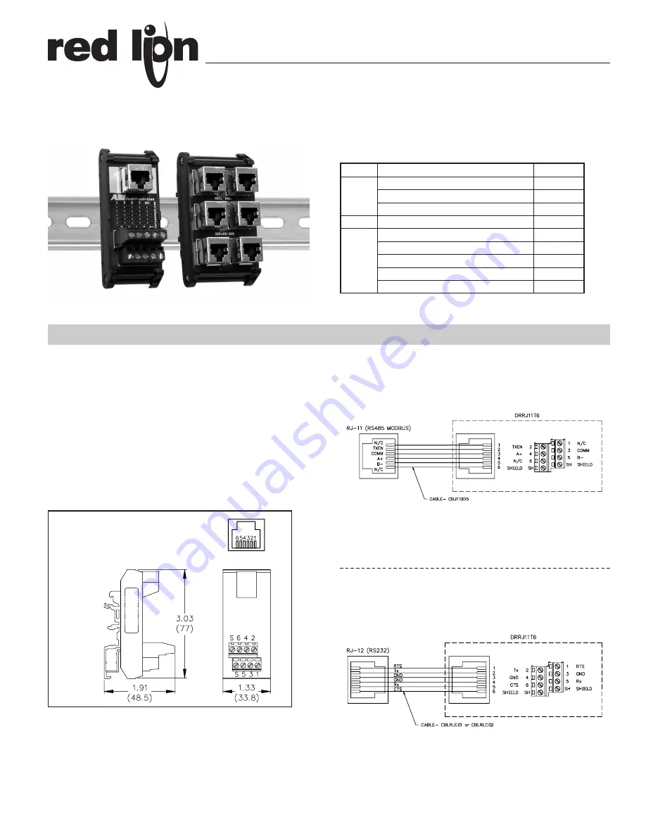 red lion DRRJ11T6 Скачать руководство пользователя страница 1