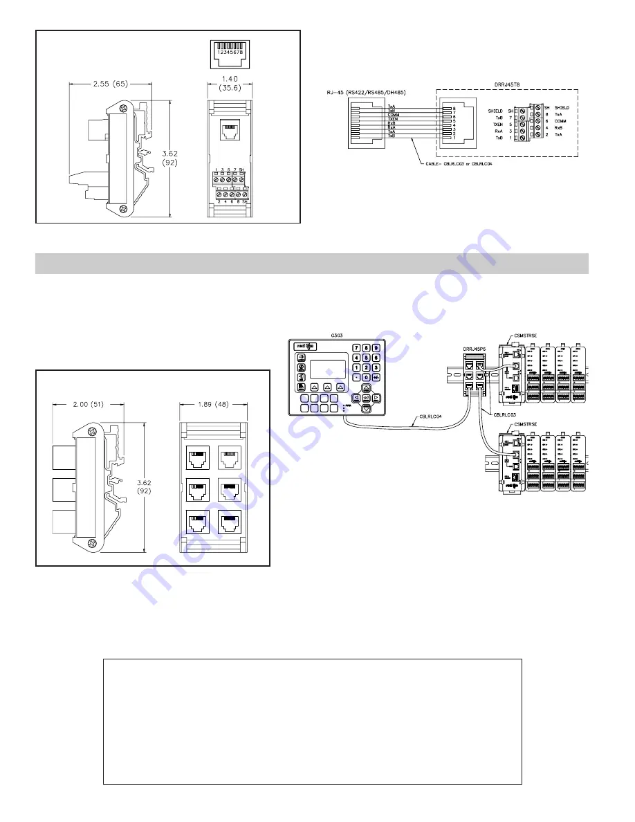 red lion DRRJ11T6 Скачать руководство пользователя страница 2