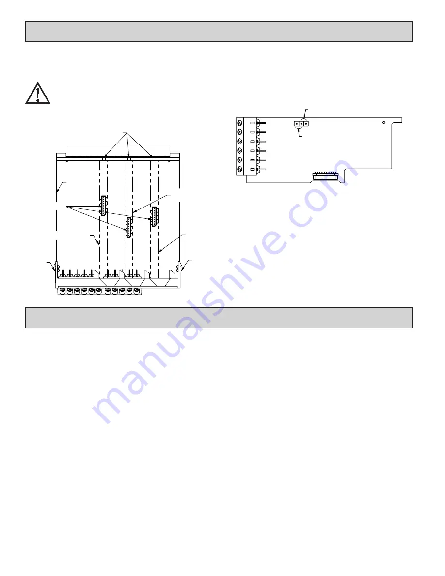 red lion PAXDP User Manual Download Page 6