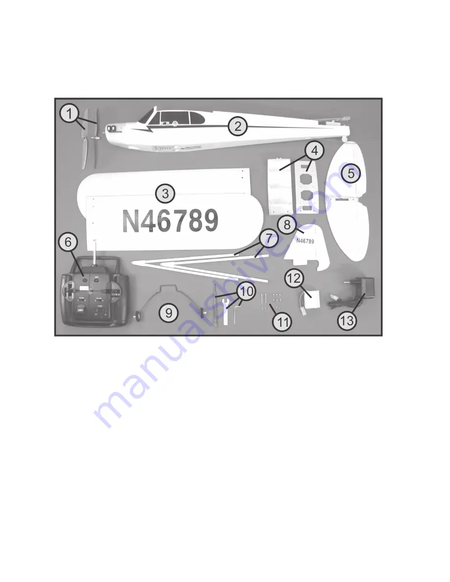 Reely Sky 20 55 11 Скачать руководство пользователя страница 103