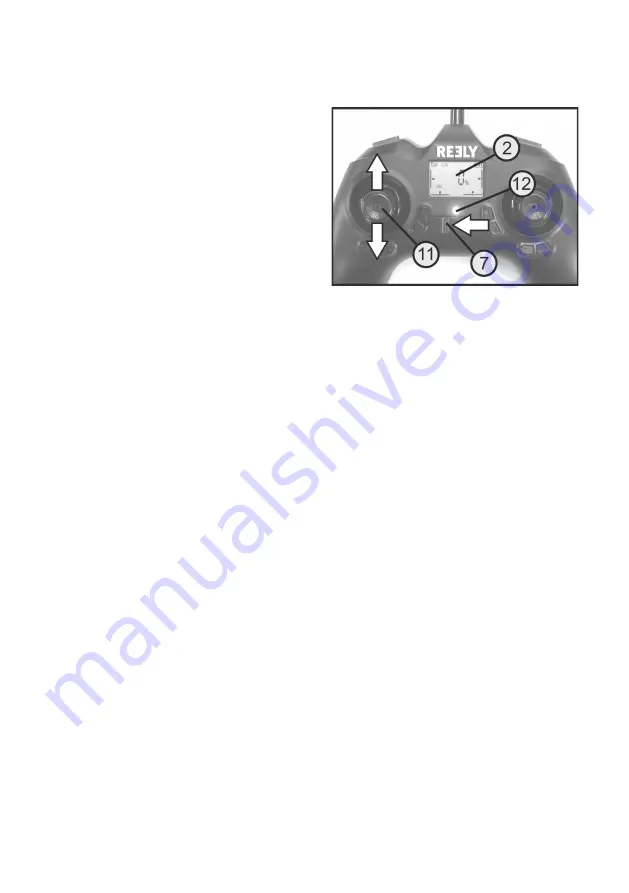 Reely 2472506 Operating Instructions Manual Download Page 46