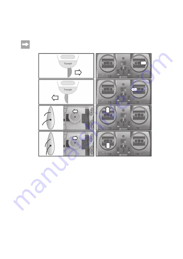 Reely Triumph Operating Instructions Manual Download Page 56