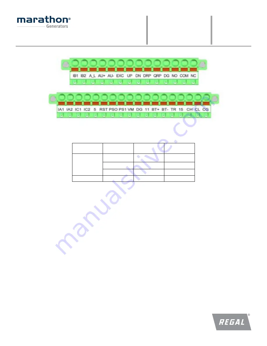 Regal Marathon Generator DVR 2400 Скачать руководство пользователя страница 25