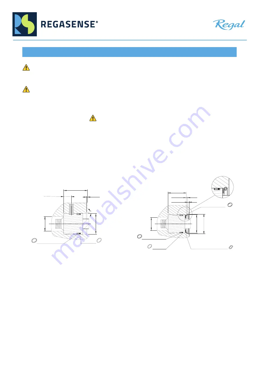 Regal REGASENSE RCL40 Скачать руководство пользователя страница 6