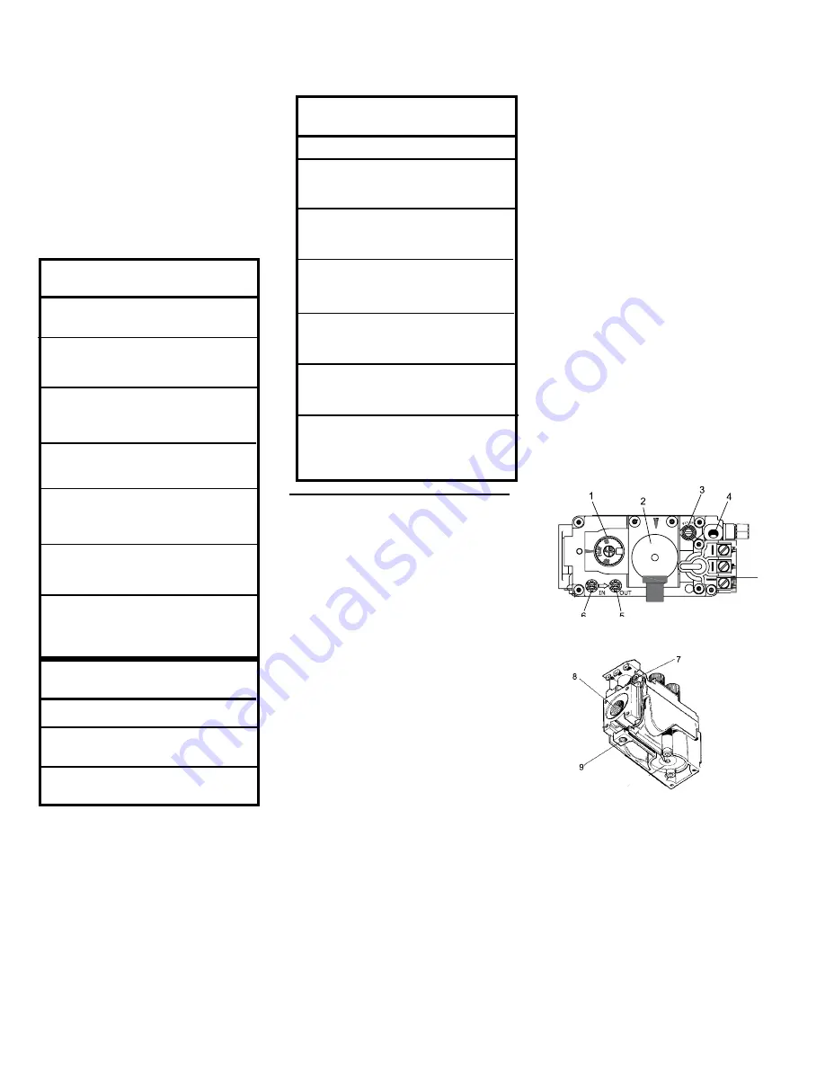 Regency Fireplace Products U38-LP10 Owners & Installation Manual Download Page 11