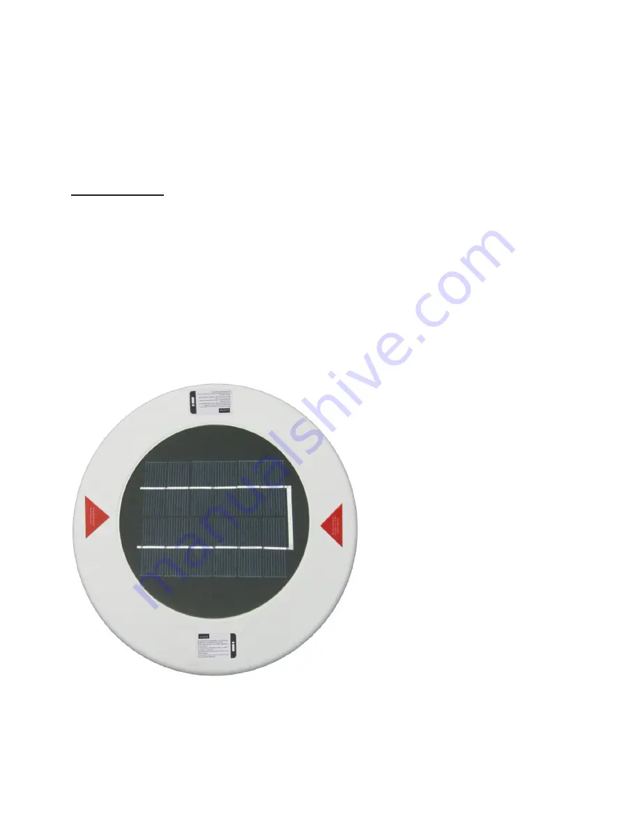 Remington Solar Solar Pool Ionizer and Purifier Скачать руководство пользователя страница 8