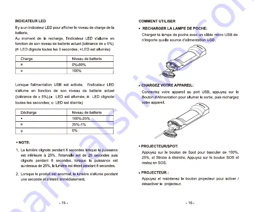 Renogy E.LUMEN-M BM10 User Manual Download Page 9