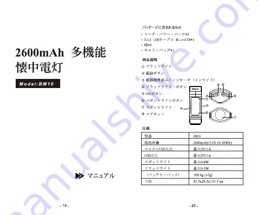 Renogy E.LUMEN-M BM10 User Manual Download Page 11