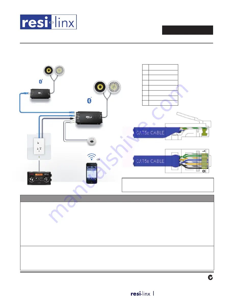 resi-linx RL-BT100 Скачать руководство пользователя страница 2