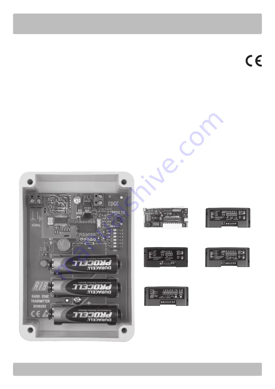 RIB ACG6202 Manual Download Page 1