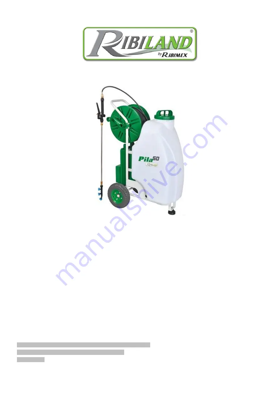 Ribimex 764326 Скачать руководство пользователя страница 1