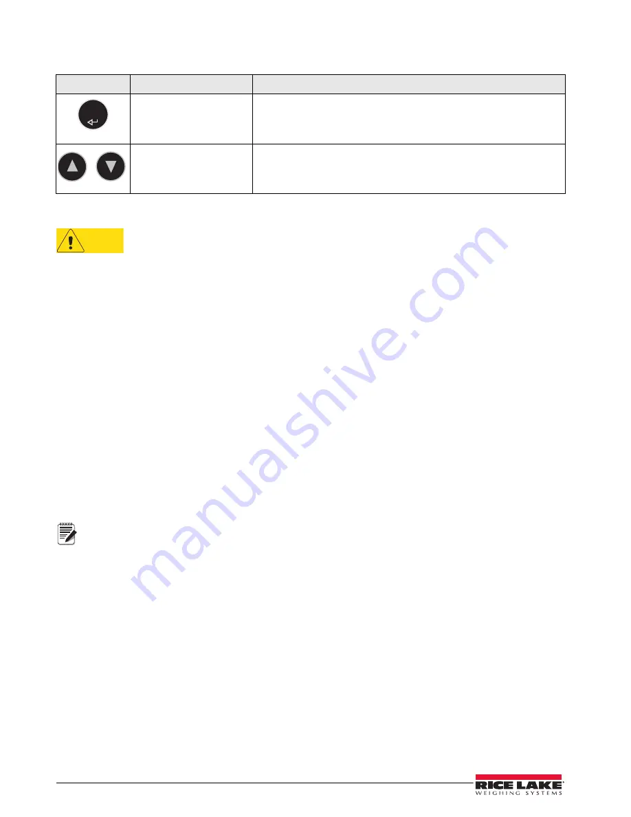 Rice Lake 250-10 Series Operation Manual Download Page 10