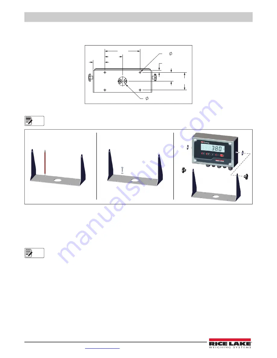 Rice Lake 380 Synergy Technical Manual Download Page 10