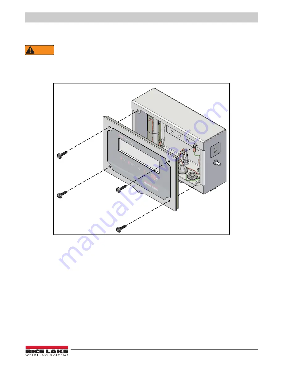 Rice Lake 380 Synergy Скачать руководство пользователя страница 11