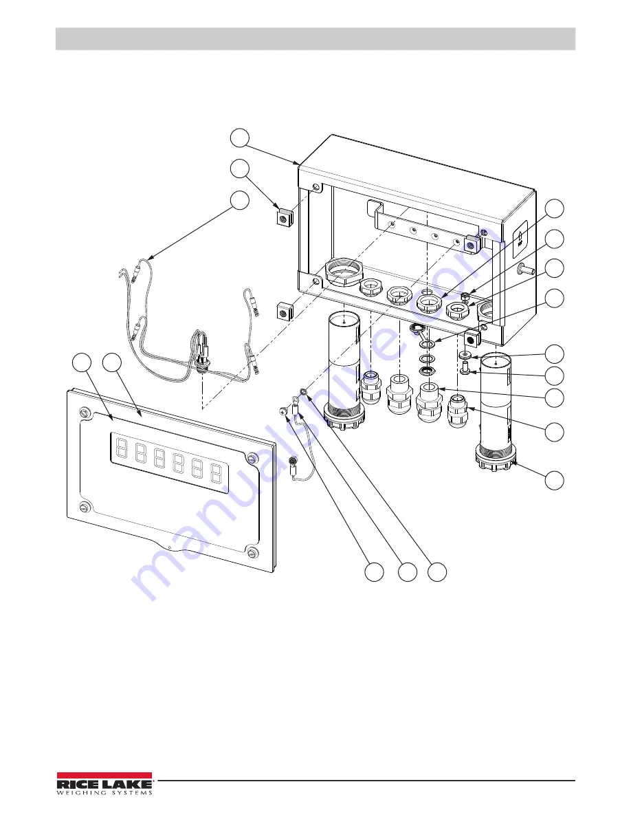 Rice Lake 380 Synergy Technical Manual Download Page 17