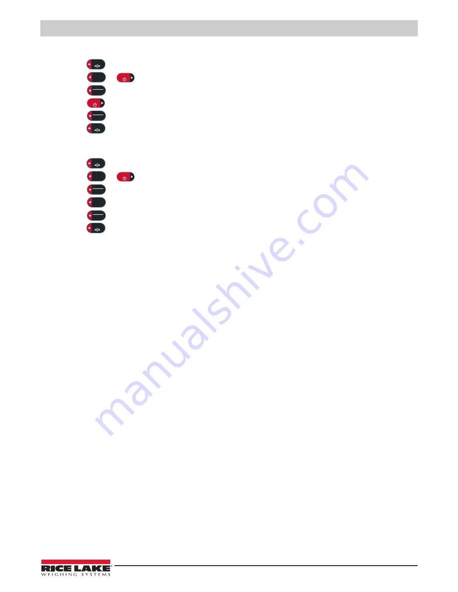 Rice Lake 380 Synergy Technical Manual Download Page 25