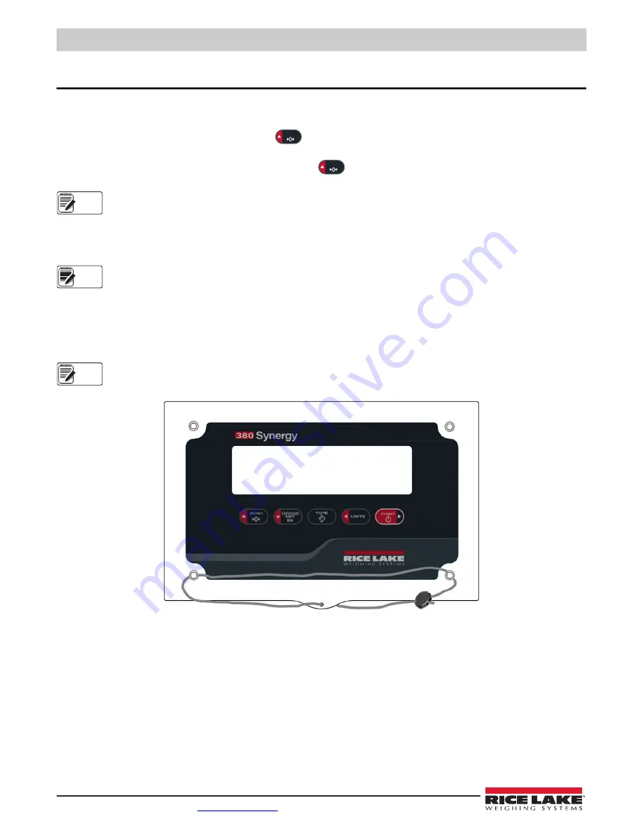 Rice Lake 380 Synergy Technical Manual Download Page 26