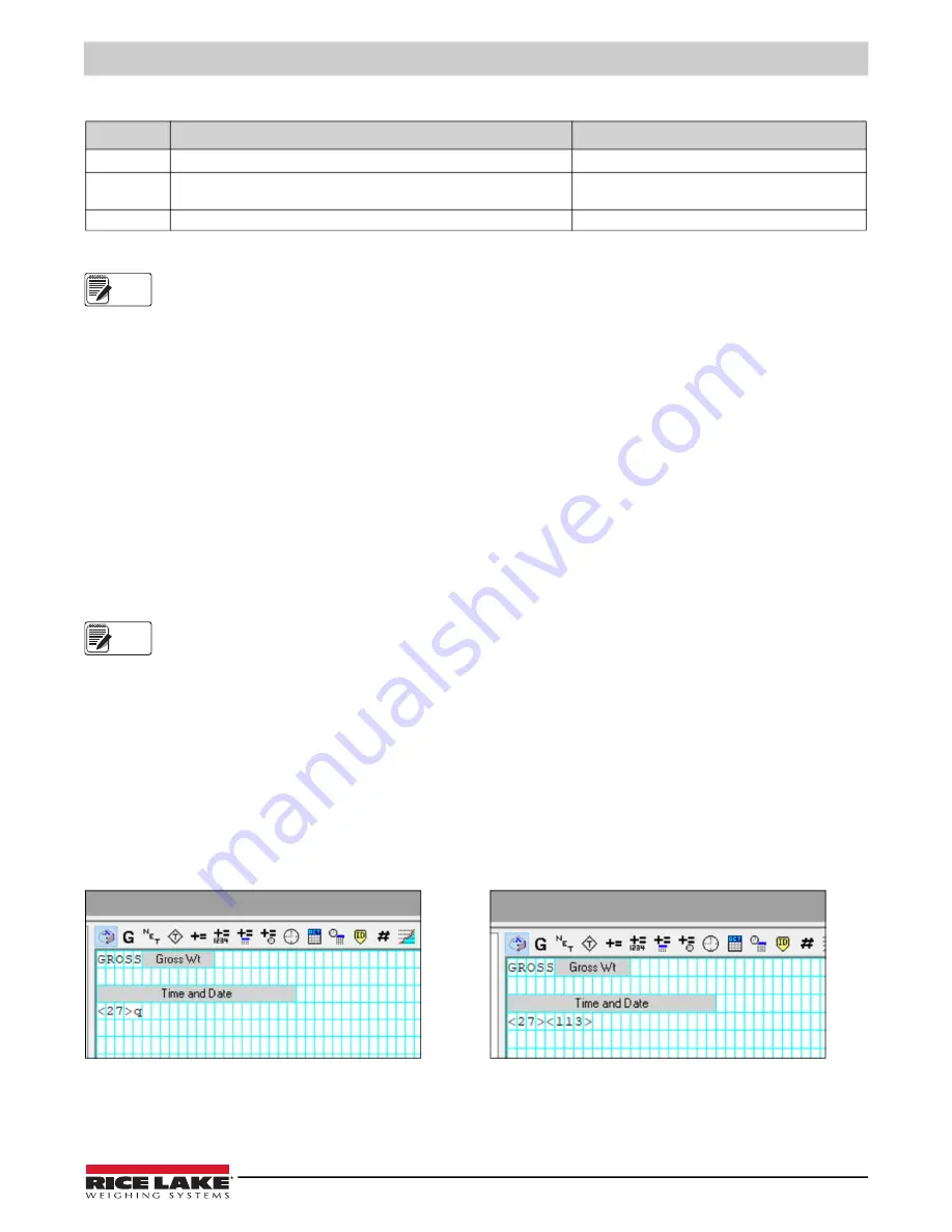 Rice Lake 380 Synergy Скачать руководство пользователя страница 47