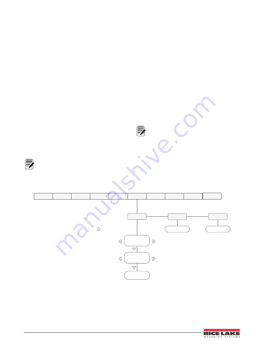 Rice Lake 420 Plus Installation Manual Download Page 44