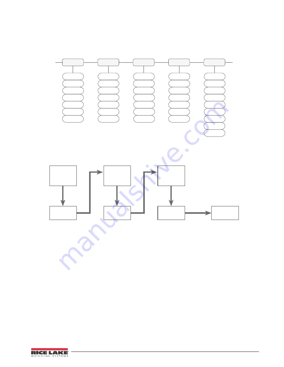 Rice Lake 420 Plus Installation Manual Download Page 53