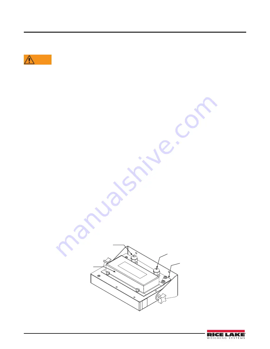 Rice Lake 590 AG Operation Manual Download Page 10