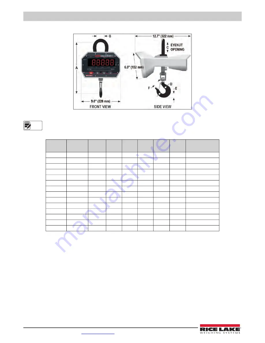 Rice Lake Challenger 3 MSI-3460 Technical Manual Download Page 42