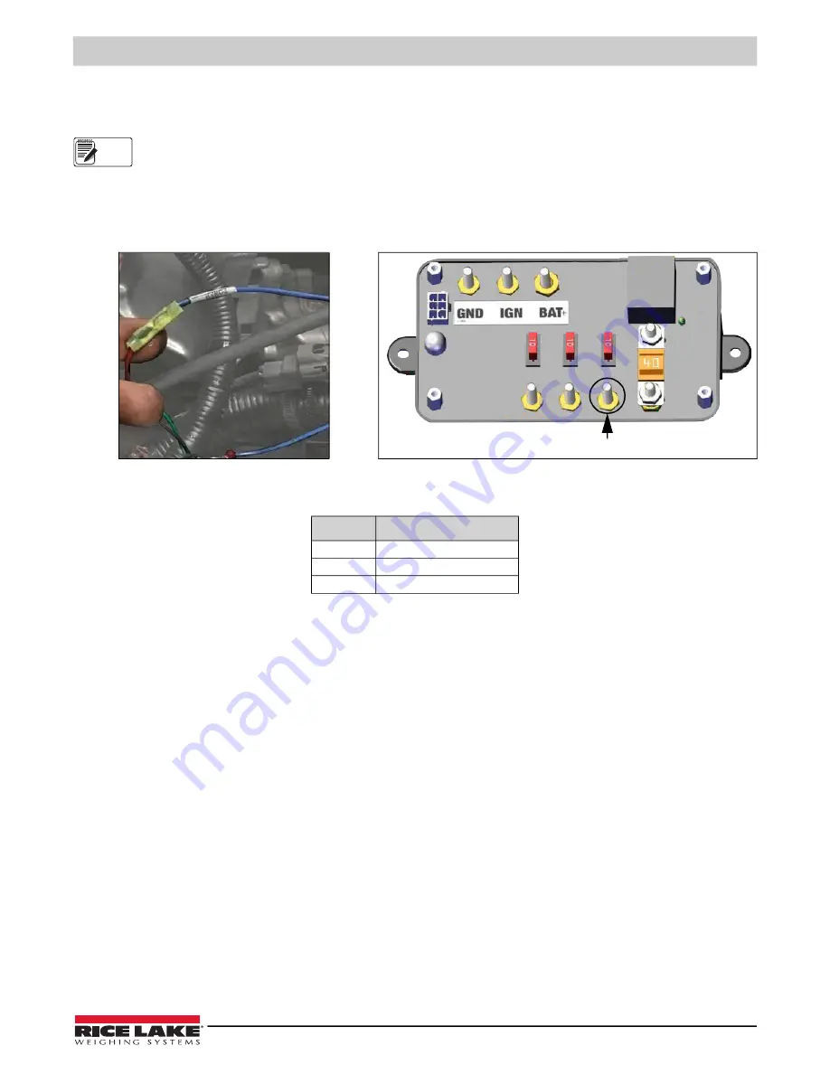 Rice Lake CLS-680 Скачать руководство пользователя страница 3