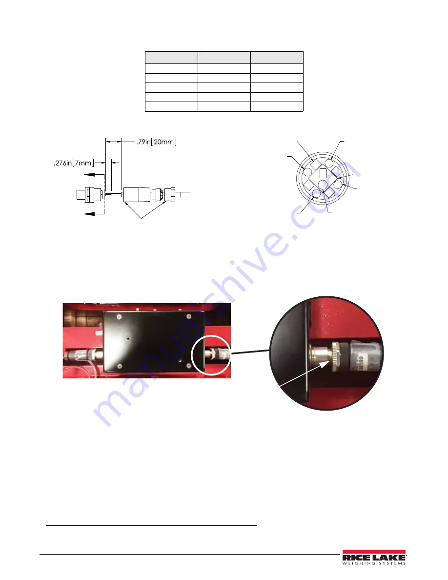 Rice Lake CLS-M iQube2 Upgrade Installation Download Page 2