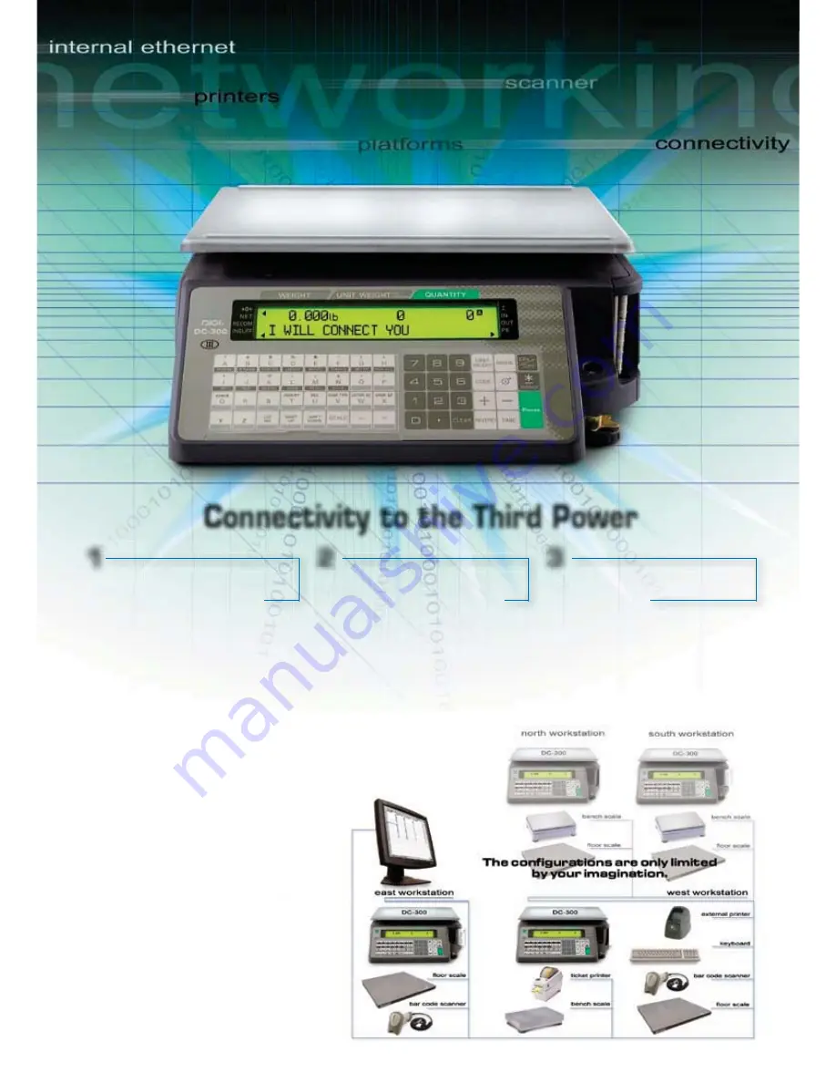 Rice Lake DIGI DC-300 Series Quick Start Manual Download Page 2