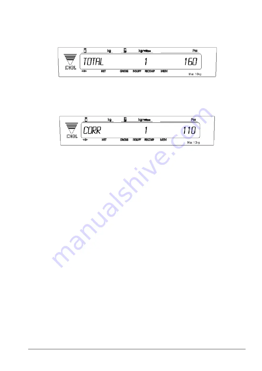 Rice Lake DIGI DC-782 Скачать руководство пользователя страница 27