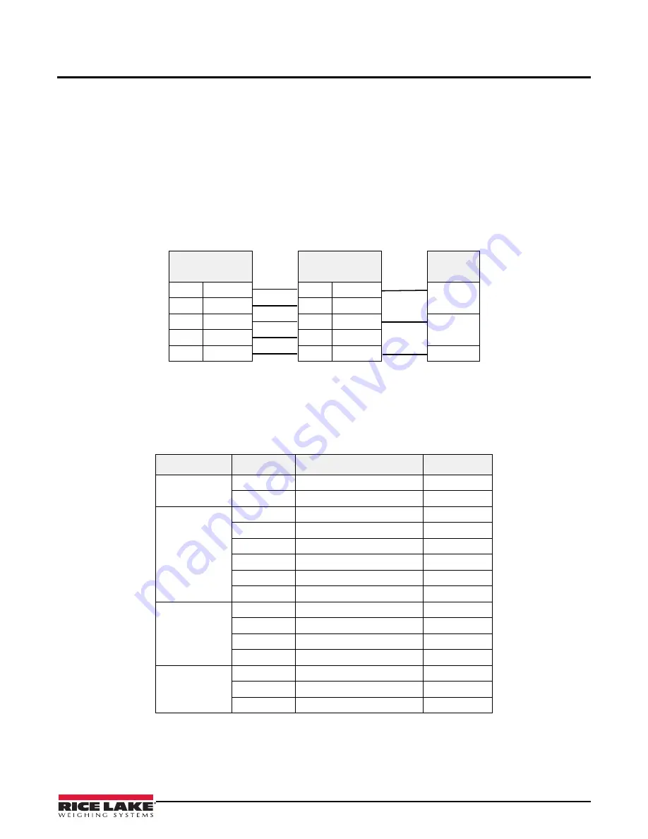 Rice Lake DIGI DSX-1000 Operation Manual Download Page 15