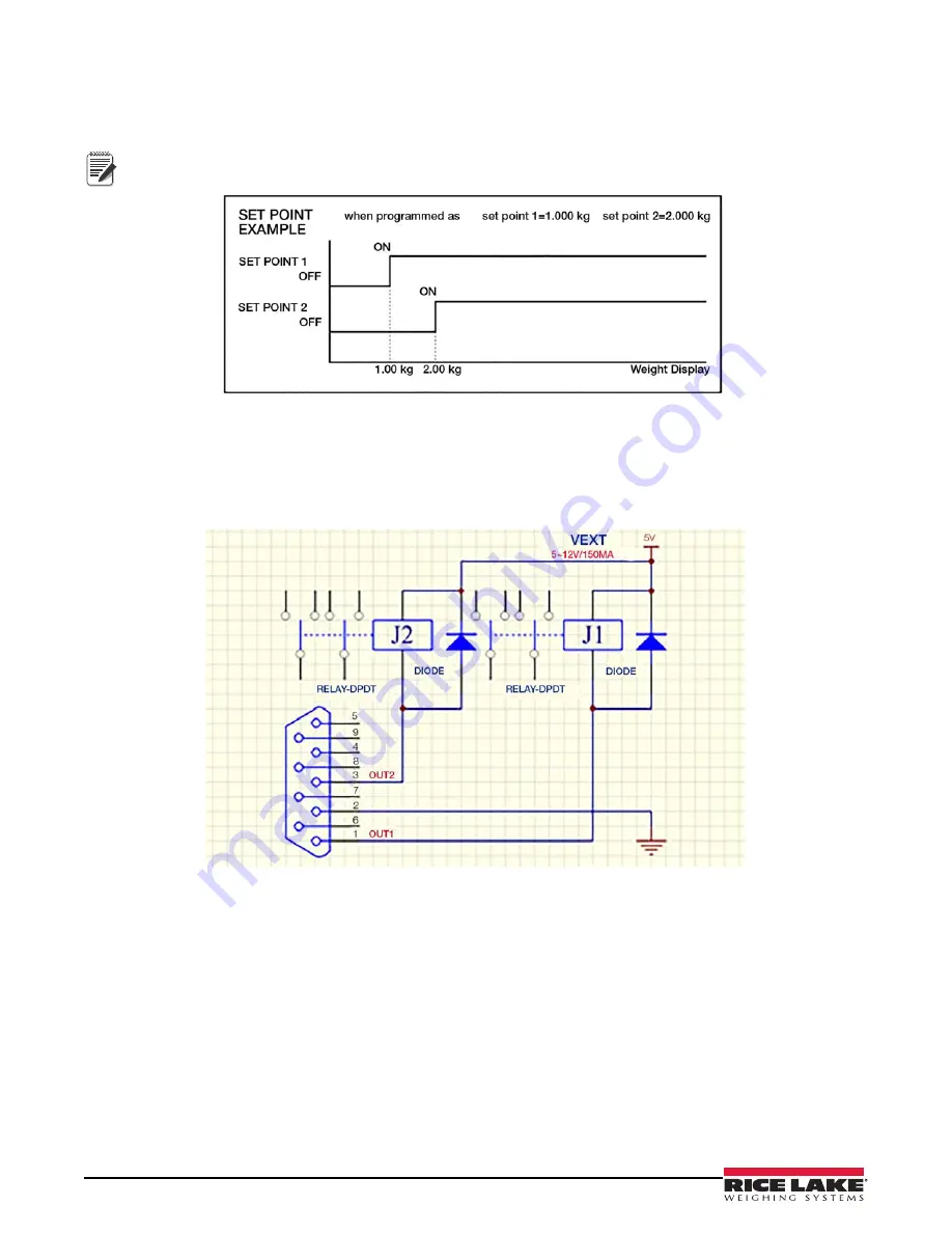 Rice Lake DIGI DSX-1000 Скачать руководство пользователя страница 20