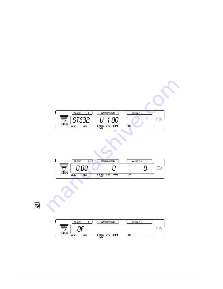 Rice Lake DMC-782 Operation Manual Download Page 12