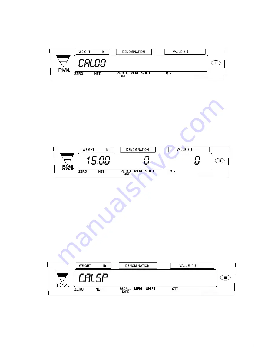 Rice Lake DMC-782 Скачать руководство пользователя страница 21