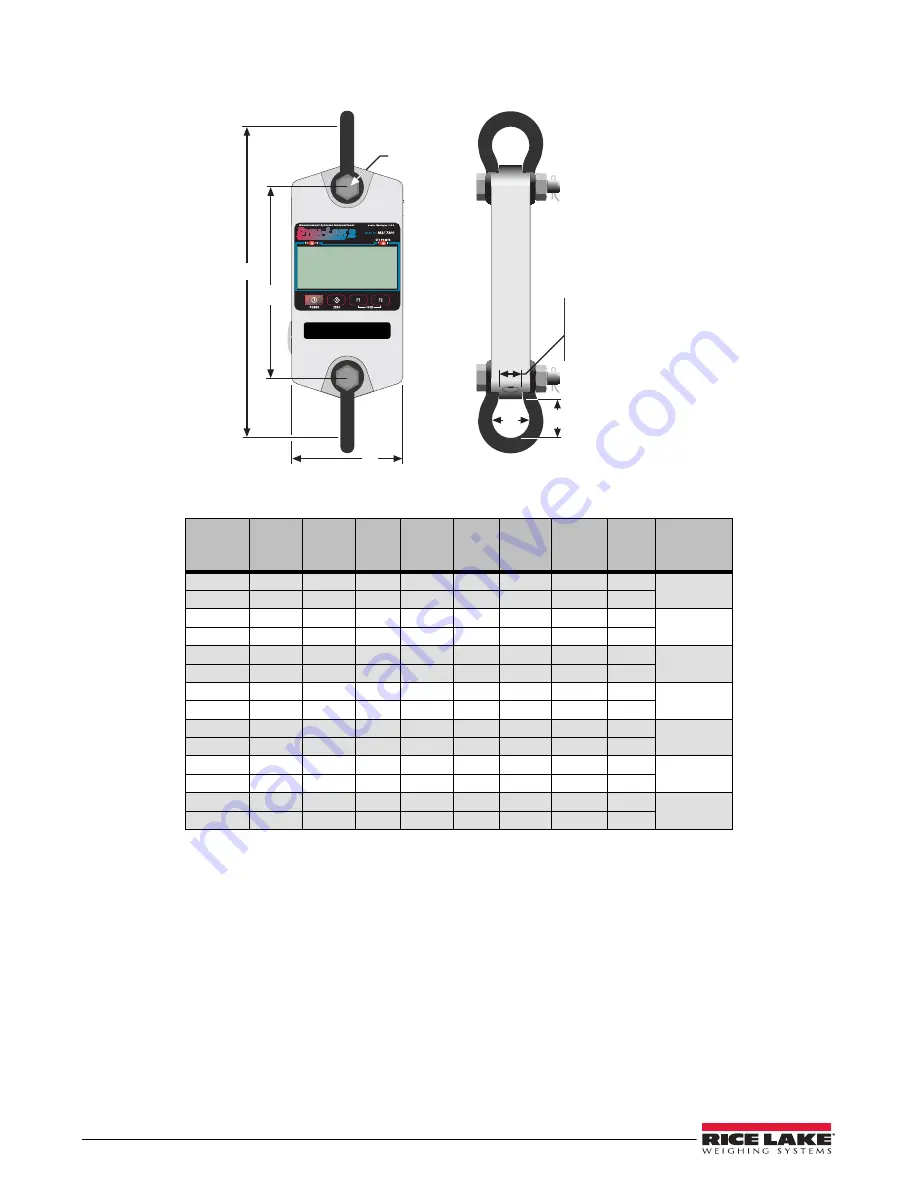 Rice Lake Dyna-Link 2 MSI-7300 Technical Manual Download Page 34