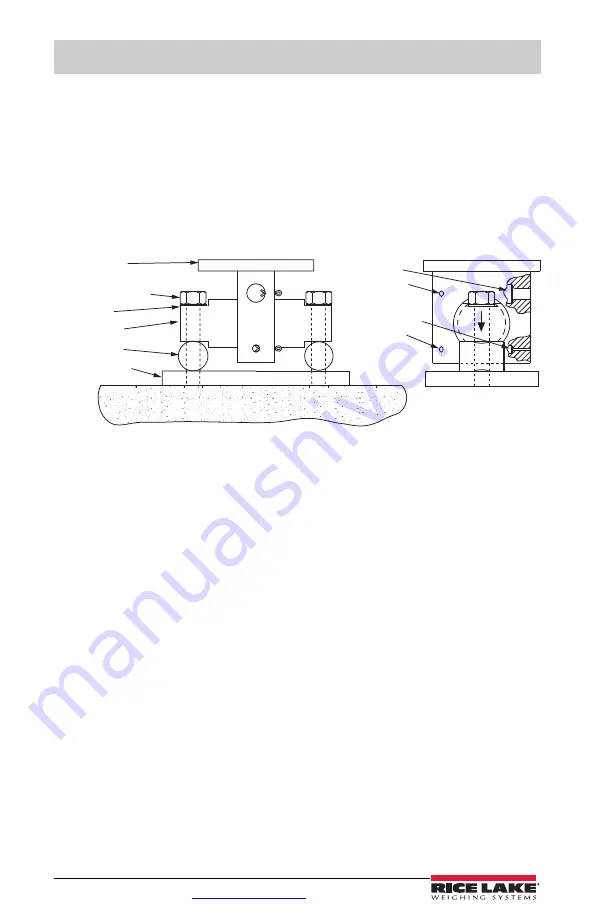 Rice Lake EZ Mount Installation Manual Download Page 8