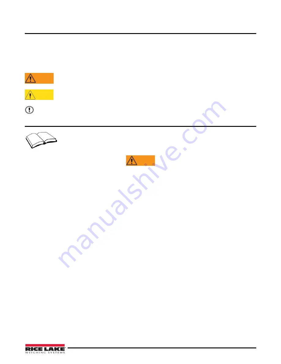 Rice Lake IDIMENSION 200 Installation Manual Download Page 4