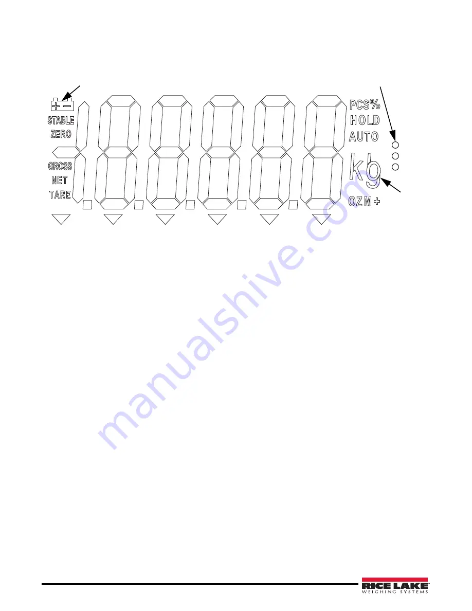 Rice Lake INT700 Скачать руководство пользователя страница 6