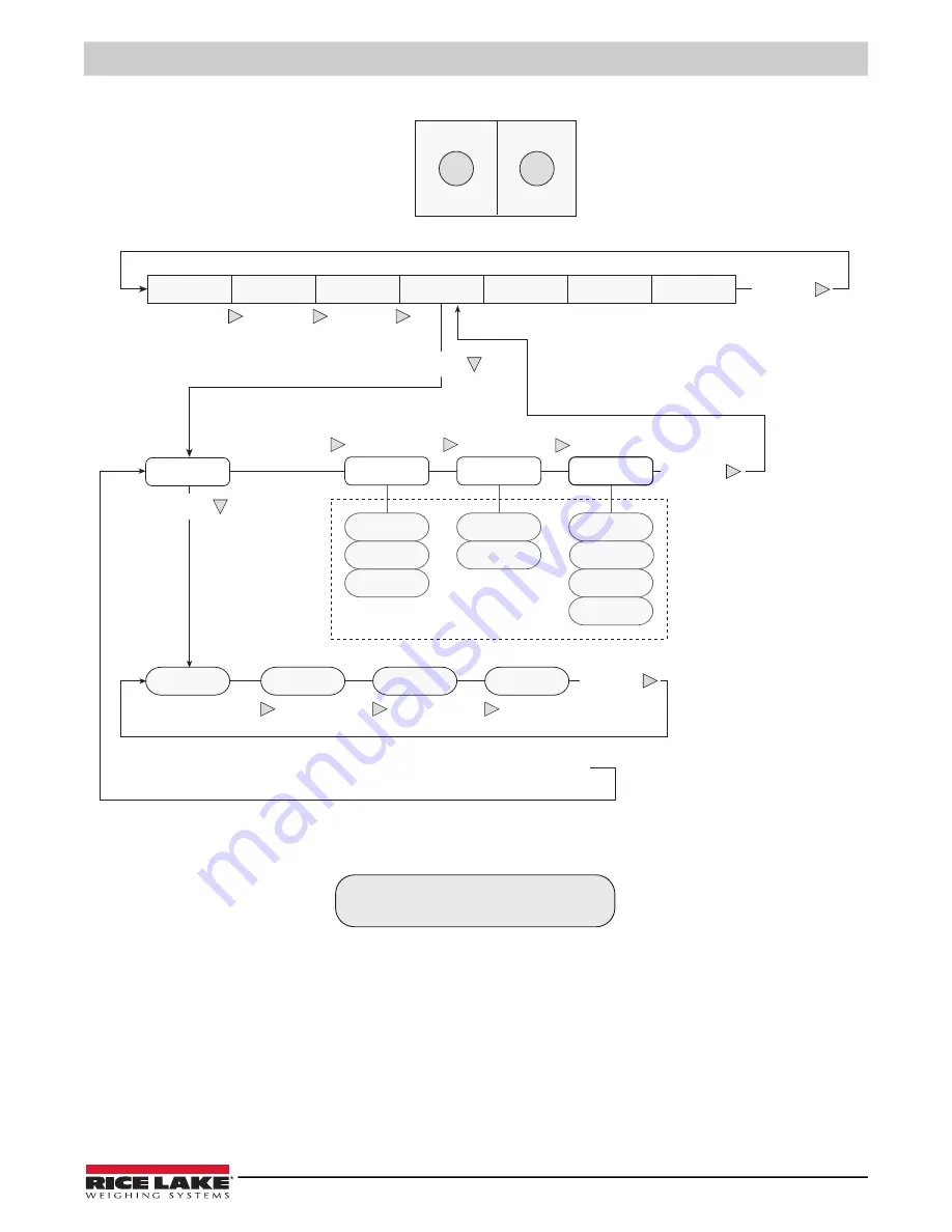 Rice Lake IQ plus 210 Installation Manual Download Page 19